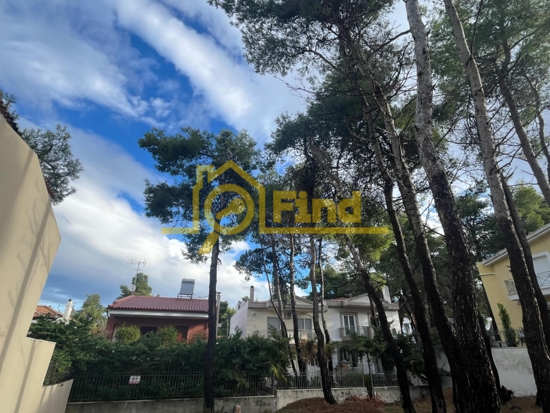 property-img