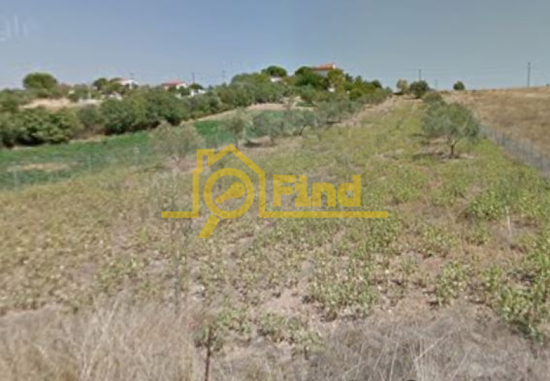 property-1-6808