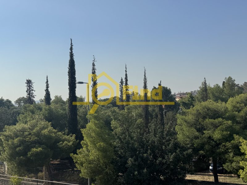 property-1-6933