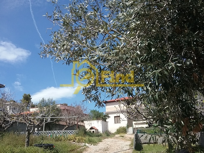 property-img
