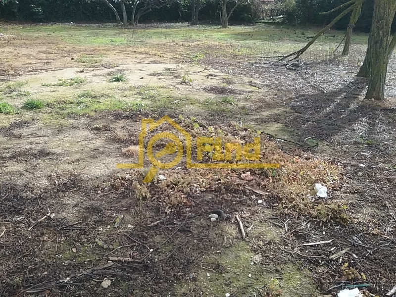 property-img