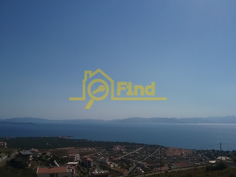 property-img