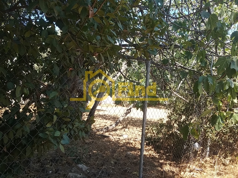 property-img