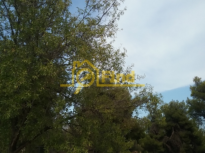 property-img