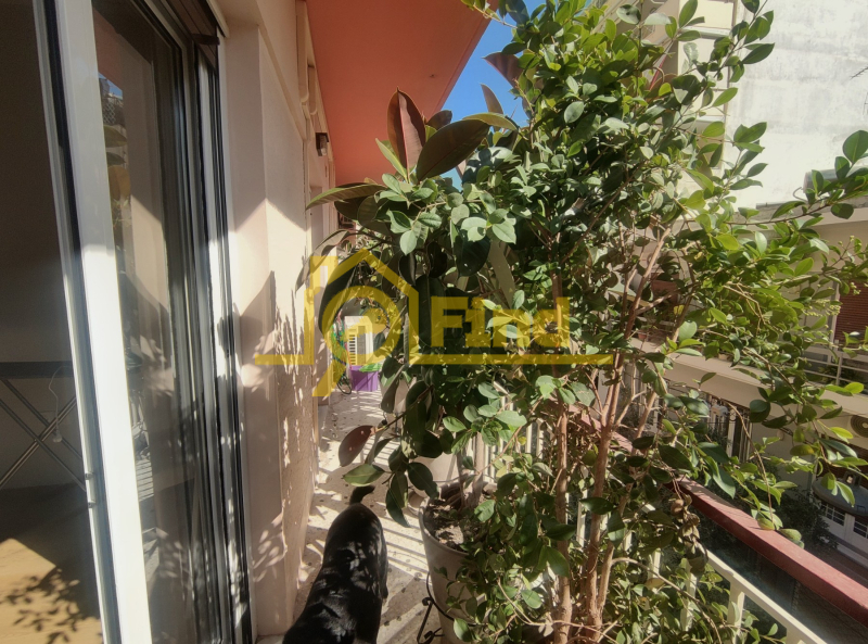 property-3-6886